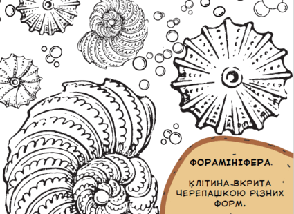 06027lg6-5fa5-425x310.png