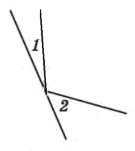 06027ng7-5769-196x220.png
