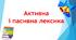 Активна і пасивна лексика