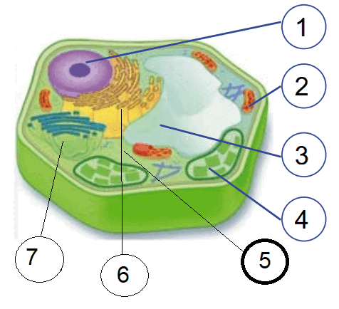 06027ppf-5535-476x434.png