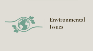 Тест на тему: Екологічні проблеми сучасності (Environmental Issues)