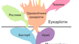 Систематика - наука про різноманітність організмів