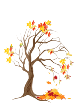 06027tlx-aeef-157x222.png