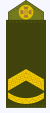 06027xuw-fe28-50x113.png