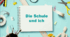 Презентація. Німецька мова 10 (6). "Die Schule und ich"