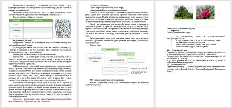 060289lq-5b65-940x438.png