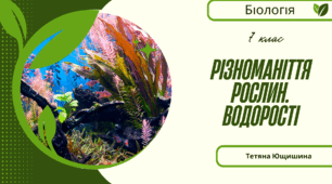 Різноманіття рослин. Водорості. 7 клас. НУШ