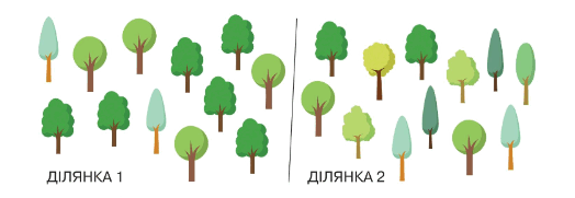 06028cbm-ad29-532x184.png