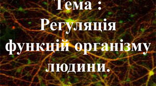 Експресконтроль з теми  «Органи, фізіологічні та регуляторні системи організму людини»
