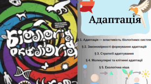 Адаптація узагальнення частина 1 (5тем)