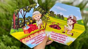 Гекси "Правила поведінки в лісі"
