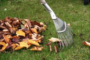 06028fae-1412-300x201.jpg