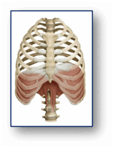 06028for-845a-162x211.png