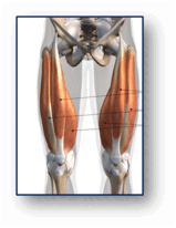 06028fp2-5391-159x206.png