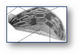06028fpf-23bf-164x114.png