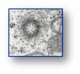06028fpj-34e7-157x145.png