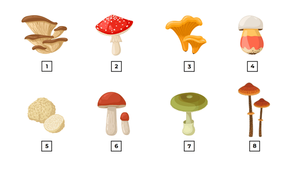 06028lcm-5acd-940x548.png