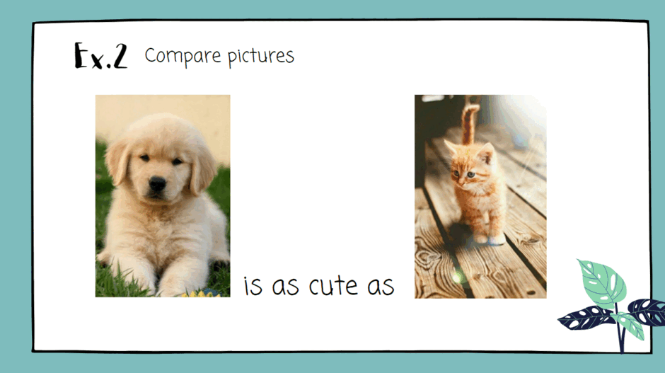 06028qj2-1d13-940x527.png