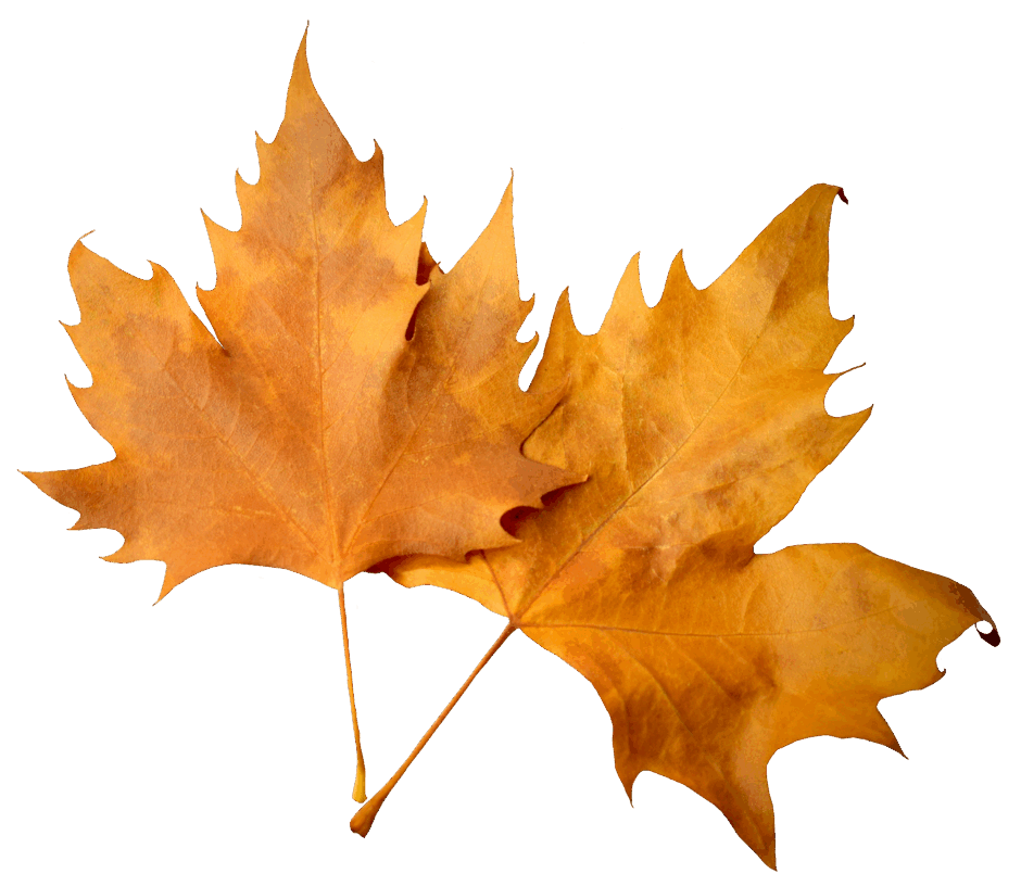 06028rx9-f57d-940x816.png