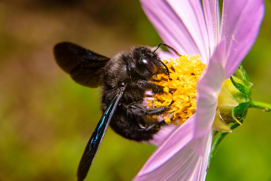06028s4i-f424-940x627.jpg