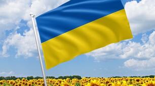 Журнал щоденного обліку роботи практичного психолога ЗДО (вересень 2023) у дистанційному форматі (онлайн)