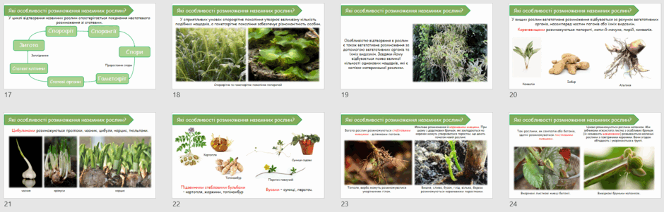 06028uay-84b6-940x301.png