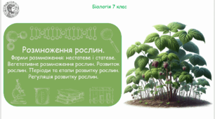 Урок на тему "Розмноження рослин. Форми розмноження: нестатеве і статеве. Вегетативне розмноження рослин. Розвиток рослин. Періоди та етапи розвитку рослин. Регуляція розвитку рослин" (Конспект, презентація, робочі аркуші)