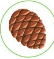 06028x28-0de5-54x59.png