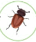 06028x2p-4e8b-52x60.png