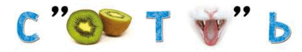 06028x64-c370-594x103.png