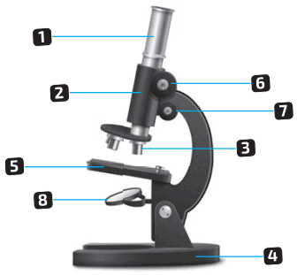 06028xly-7345-336x311.png
