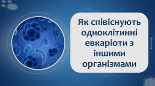 §12 Як співіснують одноклітинні евкаріоти з іншими евкаріотами