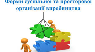 Форми суспільної та просторової організації виробництва