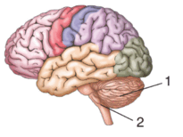 060291so-b72d-205x154.png