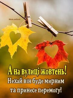 0602921j-3e80-242x323.jpg
