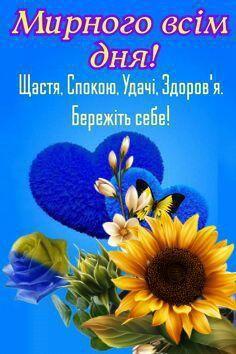 06029362-4cf4-236x354.jpg