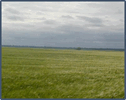 060293r9-8001-126x100.png