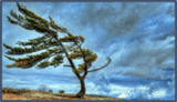 060294ci-695a-160x92.png
