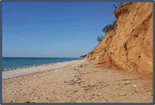 060294dm-3934-155x105.png