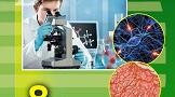 8 клас  (70 год.) Календарно-тематичне планування з біології  (2024-2025 н. р.)