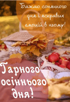 060295qd-e1c3-227x332.png