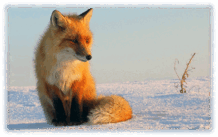060296sx-a9b1-218x137.png