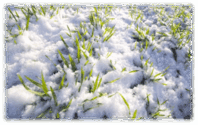 060296ue-1868-198x125.png