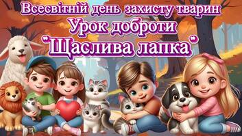 060298qr-f57e-353x199.jpg