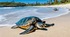 It's a challenge! Our changing planet. Prepare-7_Summary test