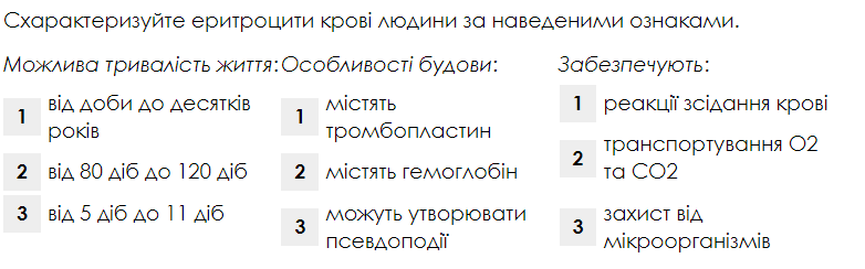 06029a7q-9a63-782x244.png