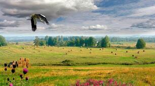 Я люблю свій рідний край (Сонячні вітрила)