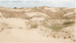 06029gyh-d16f-257x146.png
