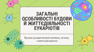 Загальні особливості будови й життєдіяльності еукаріотів. Презентація (7 клас НУШ)