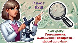 Презентація з біології для учнів 7 класу НУШ. Тема уроку: Узагальнення. Одноклітинні евкаріоти – цілісні організми.